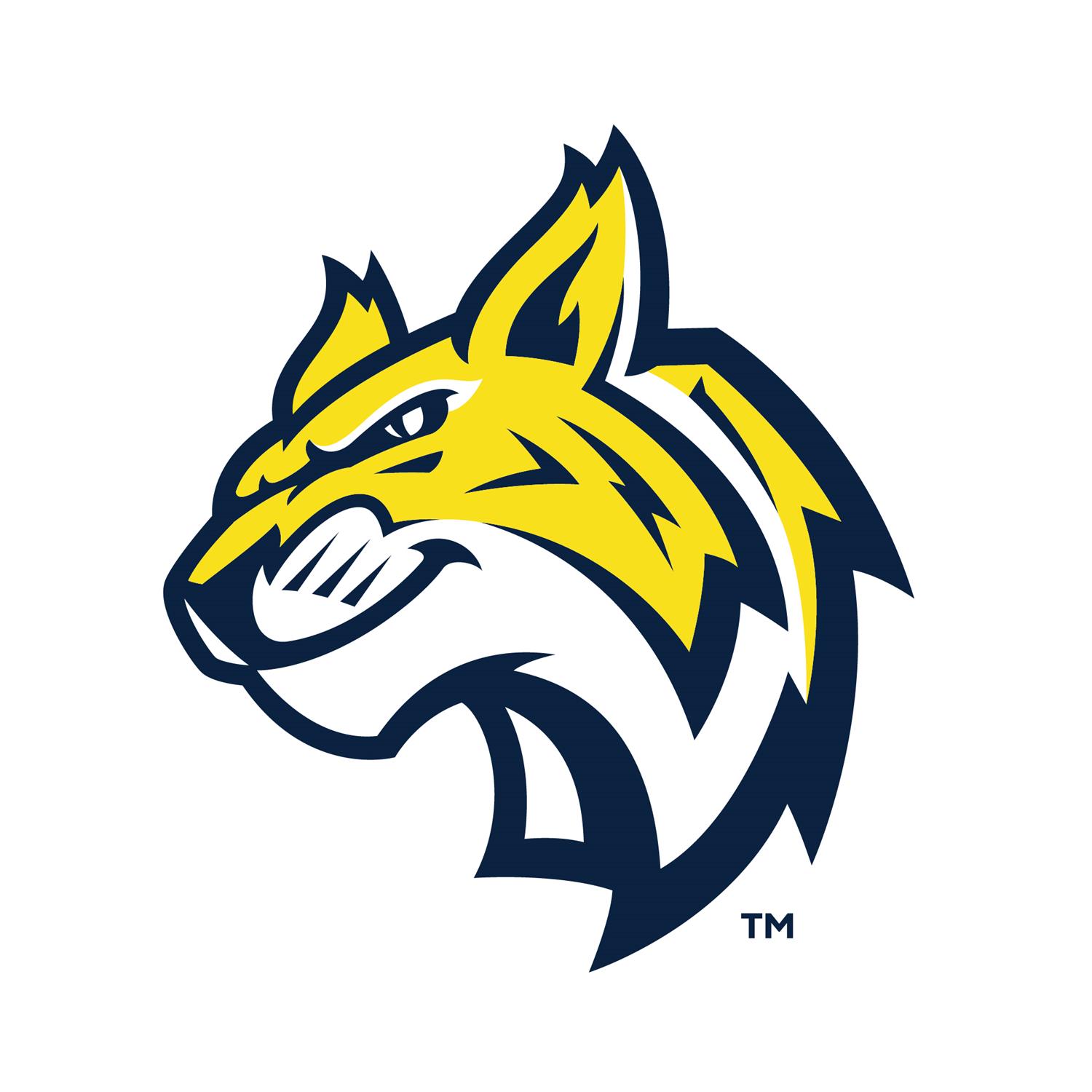WMS CARE LOGO 